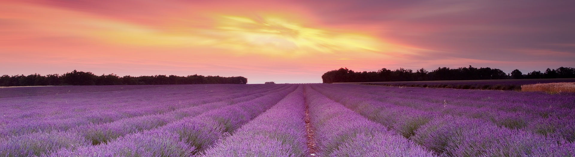 Provence France